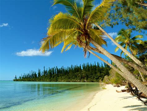 Régie publicitaire et annonces commerciales pour professionnels. Nouvelle-Calédonie : L'île des Pins - Viiiz