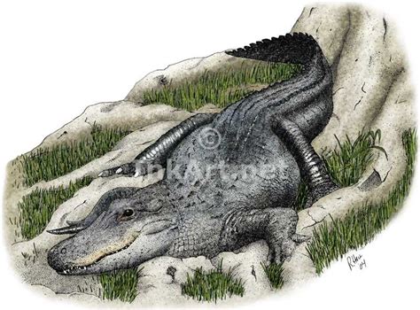 Nile Crocodile Vs American Alligator Deadliest Beasts Wiki Fandom