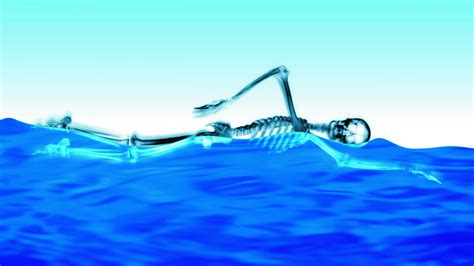 Swimming Skeleton 1920 X 1080 Hdtv 1080p Wallpaper