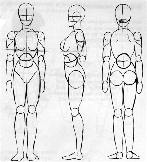 Схема рисования тела человека | Анатомия искусство, Рисовать, Рисование ...