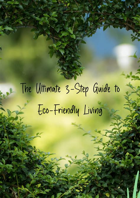 The Ultimate 3 Step Guide To Eco Friendly Living