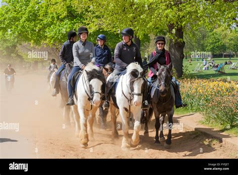 Group Of Horse Riders Hyde Park Bridle Ways London Greater London