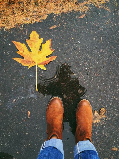 Puddle Iphone Wallpaper Best Fall Wallpapers For Your Iphones Home