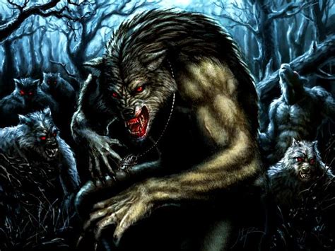 Todo Sobre Los Hombres Lobo Licantropia Paranormal Taringa