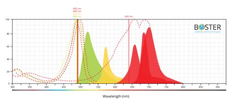 Helpful Tips Facs Multicolor Panel Design