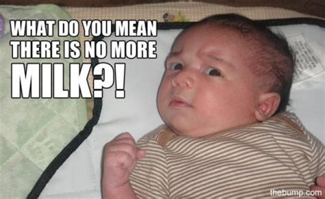 16 Most Adorably Funny Baby Memes Page 3 Of 3