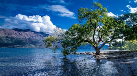 Lake Wakatipu In Queenstown New Zealand Hd Wallpaper Download