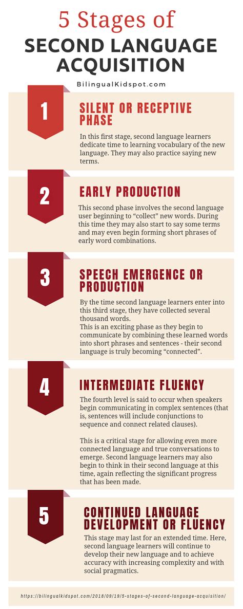 5 Stages Of Second Language Acquisition Infographic Second Language