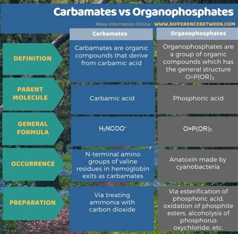 Difference Between Carbamates And Organophosphates Compare The