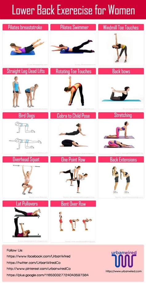 It can also strengthen the core, leg, and arm muscles. Exercises For Lower Back Infographic And Video | The WHOot