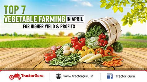 Top 7 Vegetable Farming In April For Higher Yield And Profits