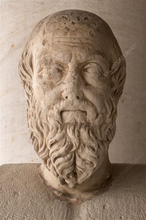 Herodotus Greek Historian Stock Image C0482843 Science Photo