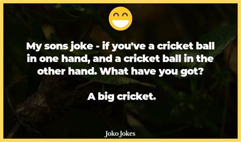 68 Cricket Jokes And Funny Puns Jokojokes