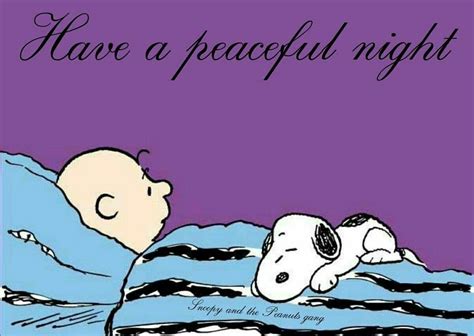Have A Peaceful Night Peanuts Cartoon Peanuts Snoopy Charlie Brown Y