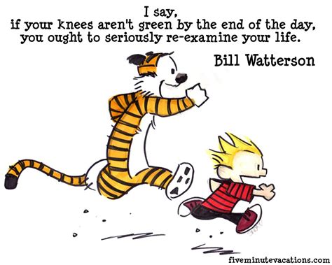 There are plenty of other examples. The Best Calvin And Hobbes Quotes For Basically Everything ...