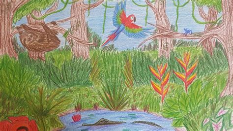 Rainforest Drawing Student Art Art Projects Drawings