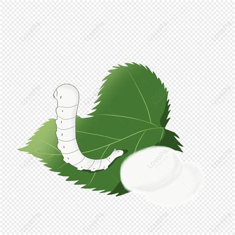 Hand Painted Silkworm Paint Silk Worm Silkworm Png Picture And