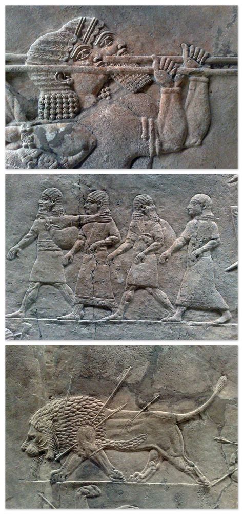 The Royal Lion Hunt Assyrian Reliefs About BC From Nineveh