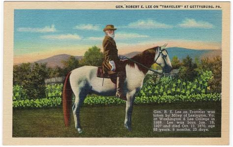 General Robert E Lee On His Horse Traveler At Gettysburg Pa Civil War
