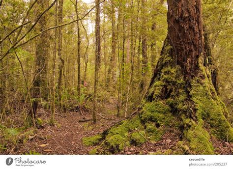 New Zealand 107 Umwelt Ein Lizenzfreies Stock Foto Von Photocase