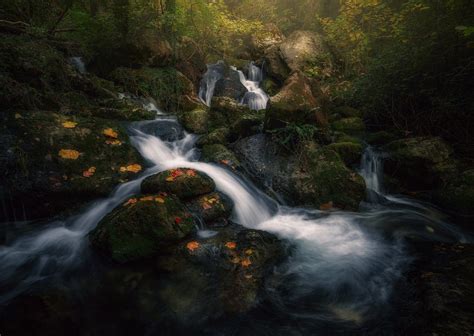 Stream Image Wall Pic 2048x1455 Forest Waterfall Forest