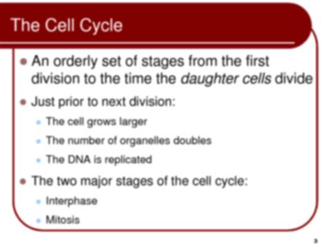 Solution Cellular Reproduction 1 Studypool