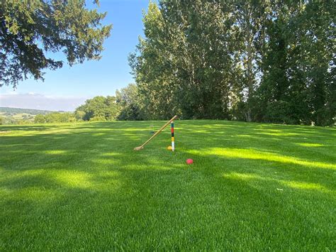 Premium Croquet And Bowls Lawn Seeds Js26a Jubilee Seeds And Turf