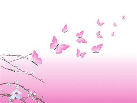 Pink Butterfly 
