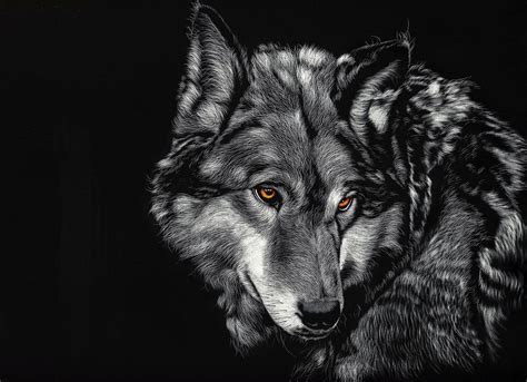 8k Ultra Hd Wolf Wallpapers Top Free 8k Ultra Hd Wolf Backgrounds