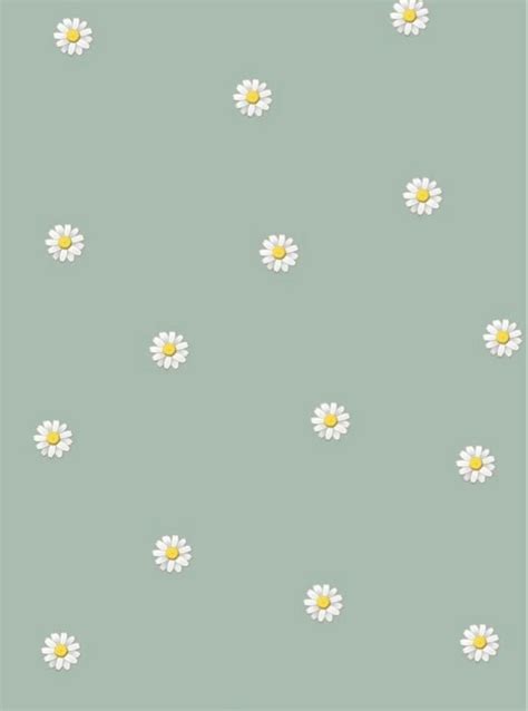 Pin by Brightonperry on Aesthetic wallpapers and pfps in 2021 | Daisy