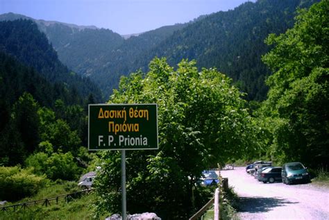 Prionia In Mountain Olympus Pieria Region South Macedonia Greece