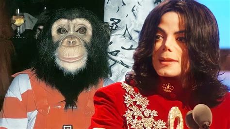 Michael Jackson Pet Where Is Bubbles The Chimpanzee Now Youtube