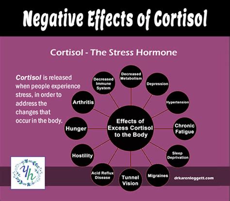 Negative Effects Of Cortisol Women S Midlife Specialist