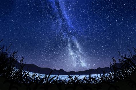 Wallpaper Stars Starry Sky Milky Way Art Night Sky Grass Hd