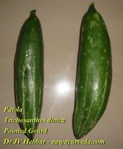 Introduction 2 however, some of the negative points discussed above are possibly exceeded by many of the positive points. Pointed Gourd Health Benefits, Usage - Ayurveda Details