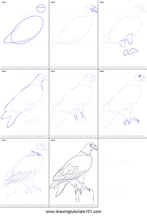 Another free animals for beginners step by step drawing video tutorial. How to Draw a Eagle printable step by step drawing sheet ...