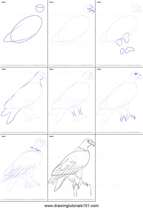 Draw in your eagle's eye, and draw a line that divides the beak from the rest of its head. How to Draw a Eagle printable step by step drawing sheet ...