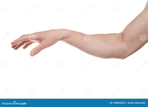 palma masculina relajada aislada en el fondo blanco foto de archivo imagen de elasticidad