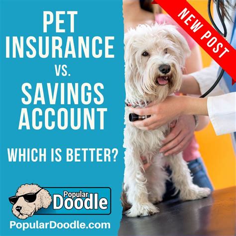 Pet Insurance Vs Savings Account Which Is Better In 2020 Pet