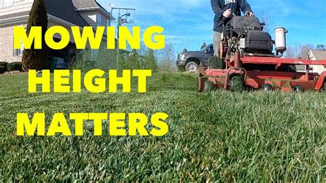 The Right Mowing Height For Your Grass Diy Lawn Care