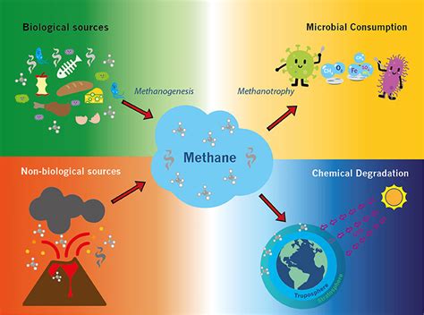 It exists naturally as a molecule. The Role of Microorganisms in the Methane Cycle ...
