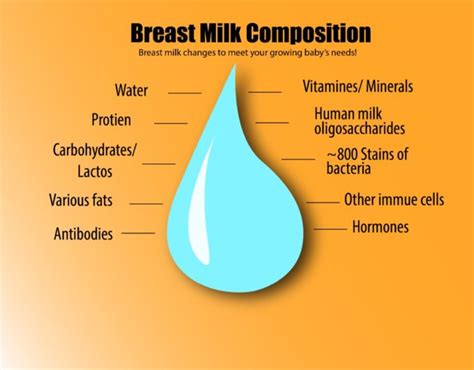 Does Maternal Nutrition Status Affect Breast Milk Composition