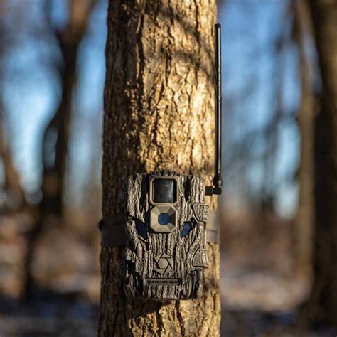 Walmart.com has been visited by 1m+ users in the past month Fusion Wireless Cellular Trail Camera by Stealth Cam