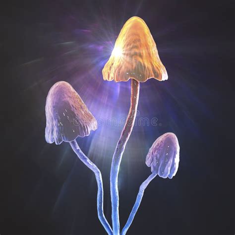Magic Mushrooms 3d Illustration Stock Illustration Illustration Of