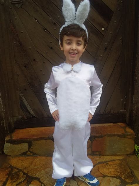 Fantasia Infantil De Coelho