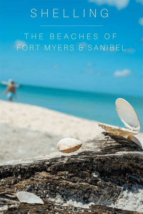 Why The Worlds Best Shelling Is At The Beaches Of Fort Myers And Sanibel