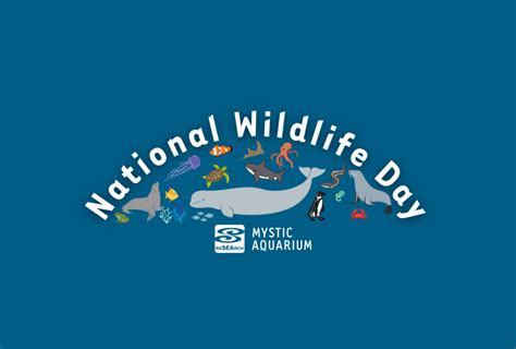 National Wildlife Day At Mystic Aquarium Mommy Poppins Things To Do
