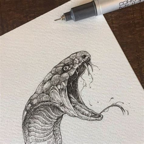 Illustrator Kerby Rosanes Snake Drawing Snake Sketch Realistic