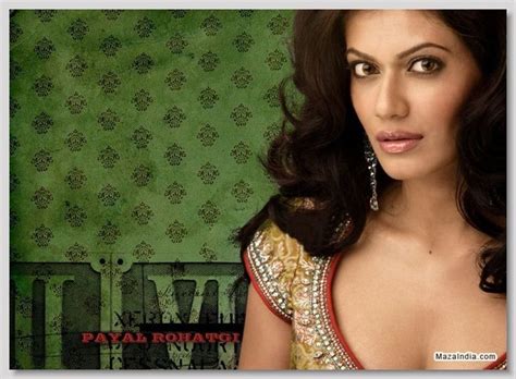 Payal rohatgi is an indian actress and unscripted television entertainer who shows up in bollywood films. Payal_Rohatgi_Wallpapers_11.jpg (830×611) | Actress photos ...