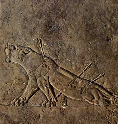 Most of the scenes were of war and hunting. Zinda 17 May 2004